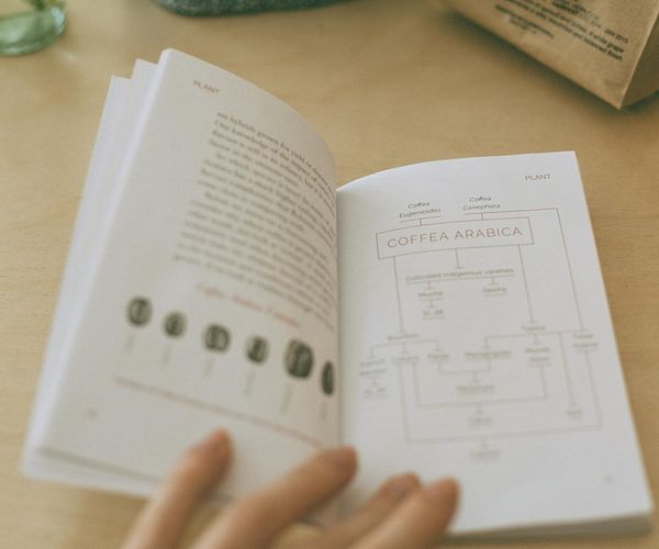 Diagram showing progression of exercises from simple to complex.
